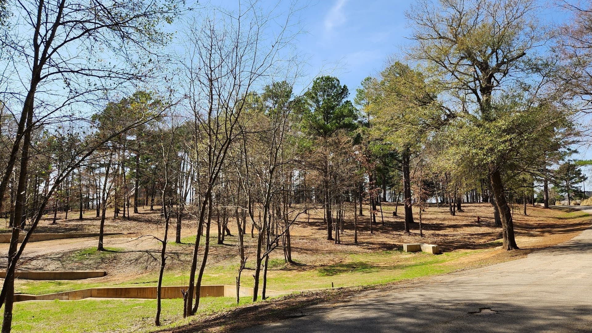 2.64 acres in Smith County - photo 4