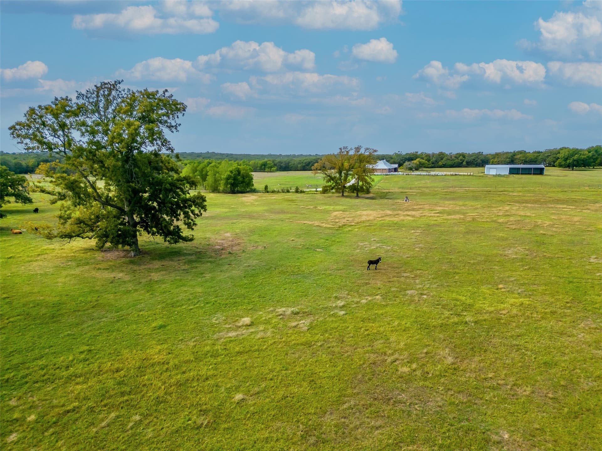 158.42 acres in Cooke County - photo 37