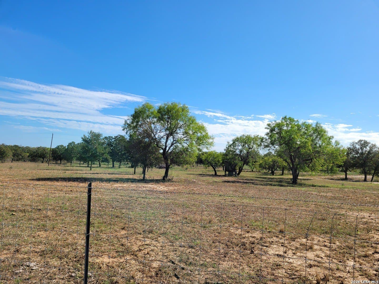 10.16 acres in Guadalupe County gallery image 4