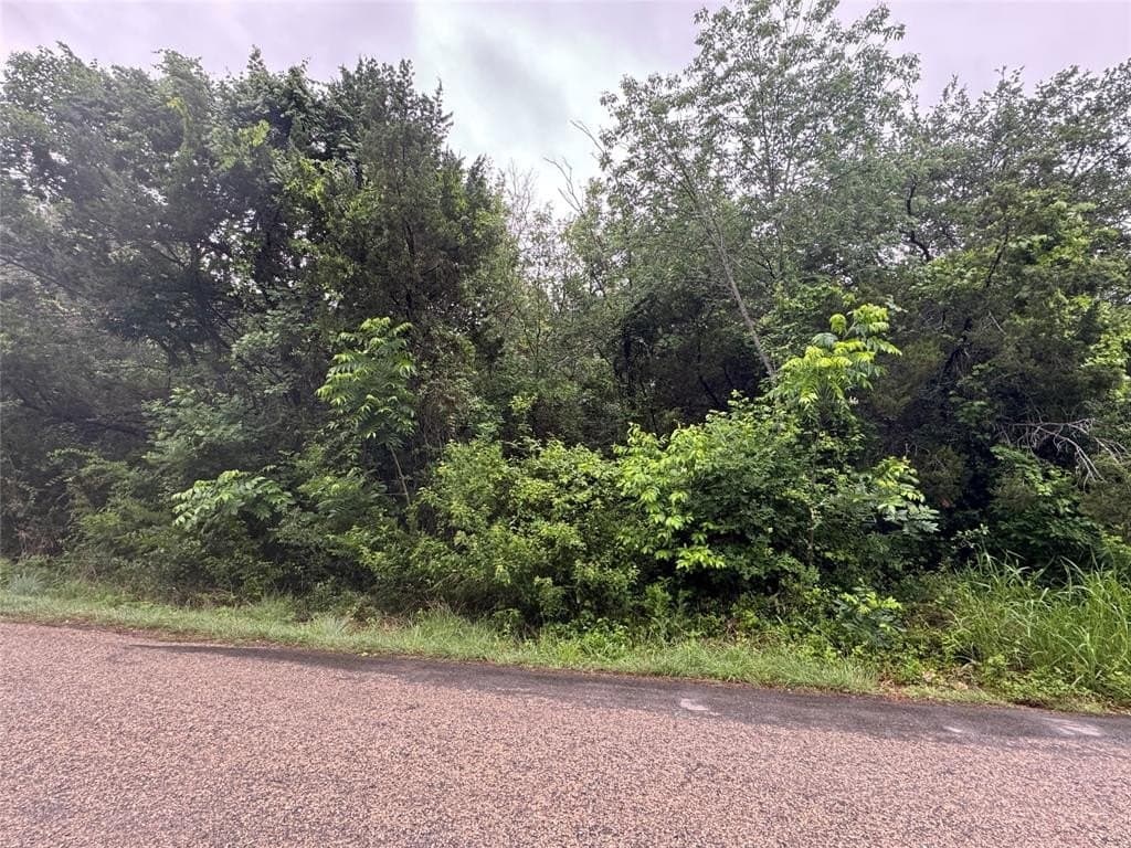 0.11 acres in Hood County gallery image 2