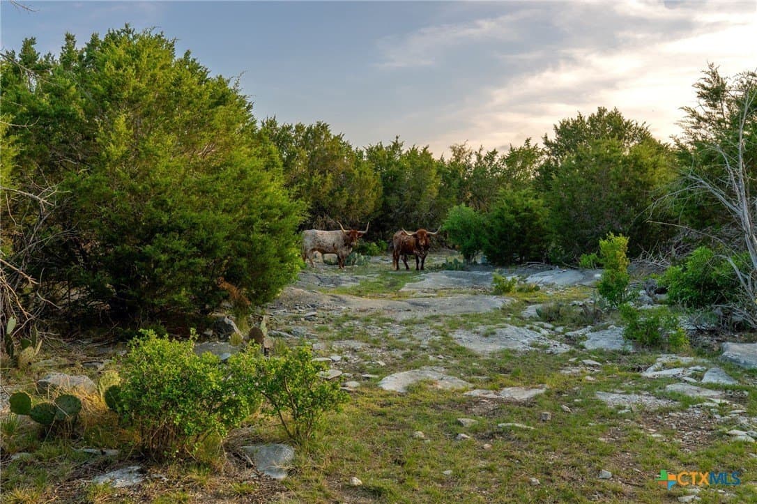 55 acres in Lampasas County - photo 35