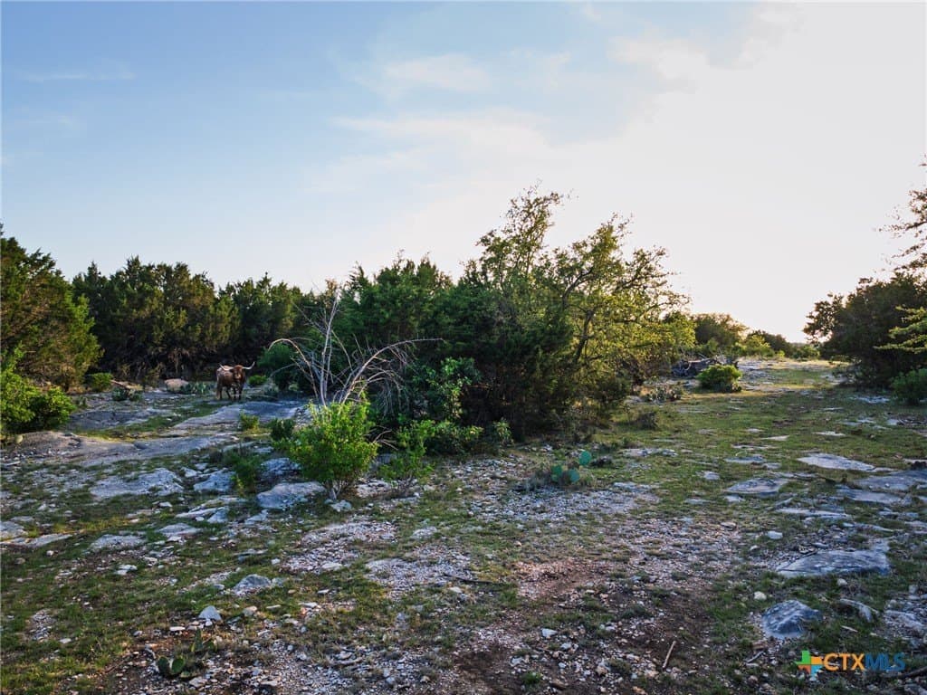 55 acres in Lampasas County - photo 34