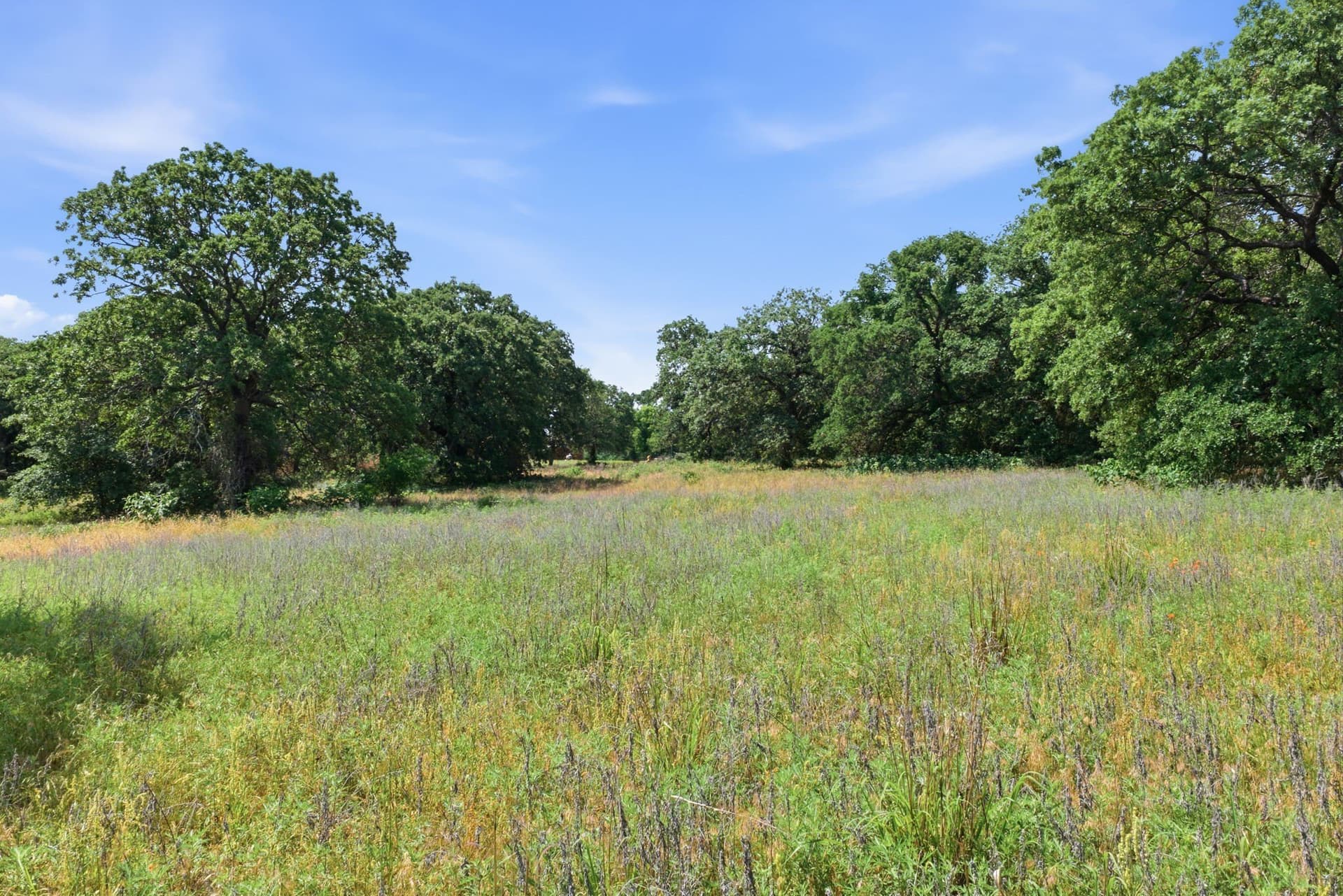 10.76 acres in Parker County - photo 39