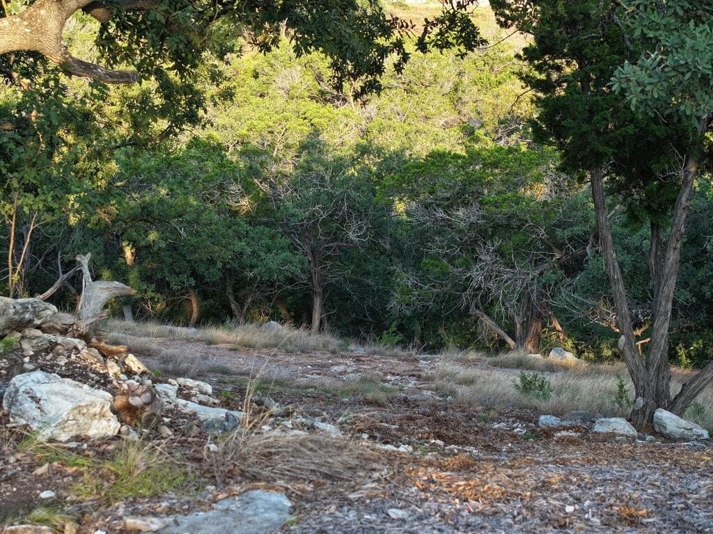12.33 acres in Gillespie County - photo 15