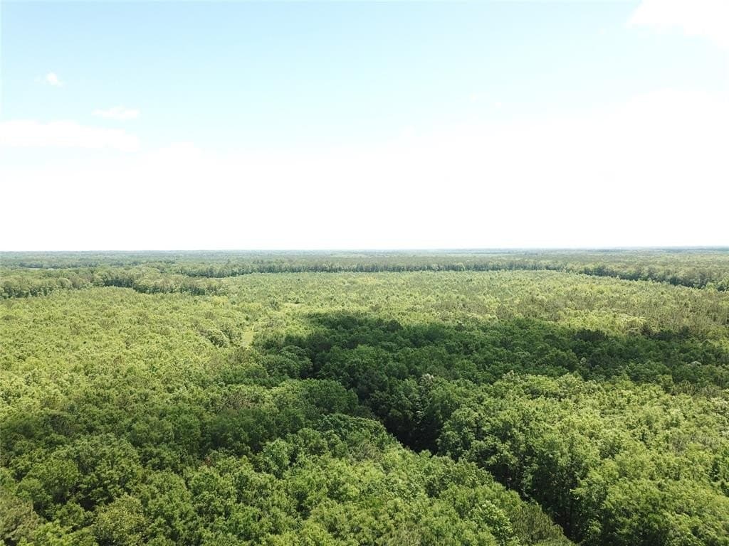 265.96 acres in Bowie County gallery image 2