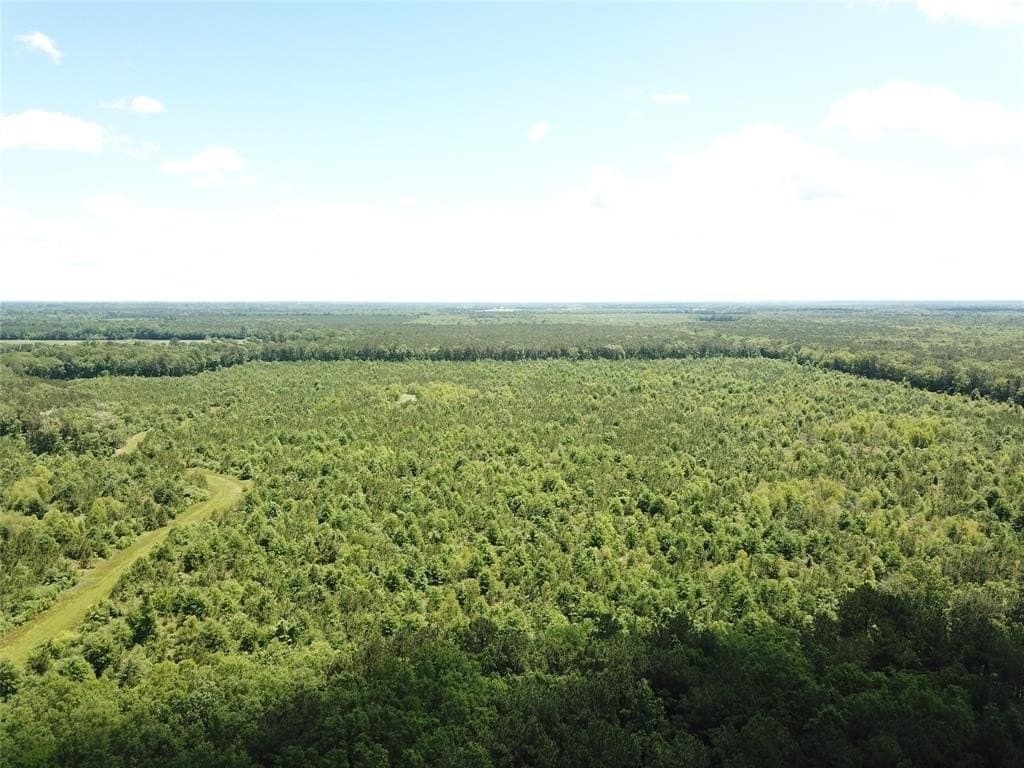265.96 acres in Bowie County