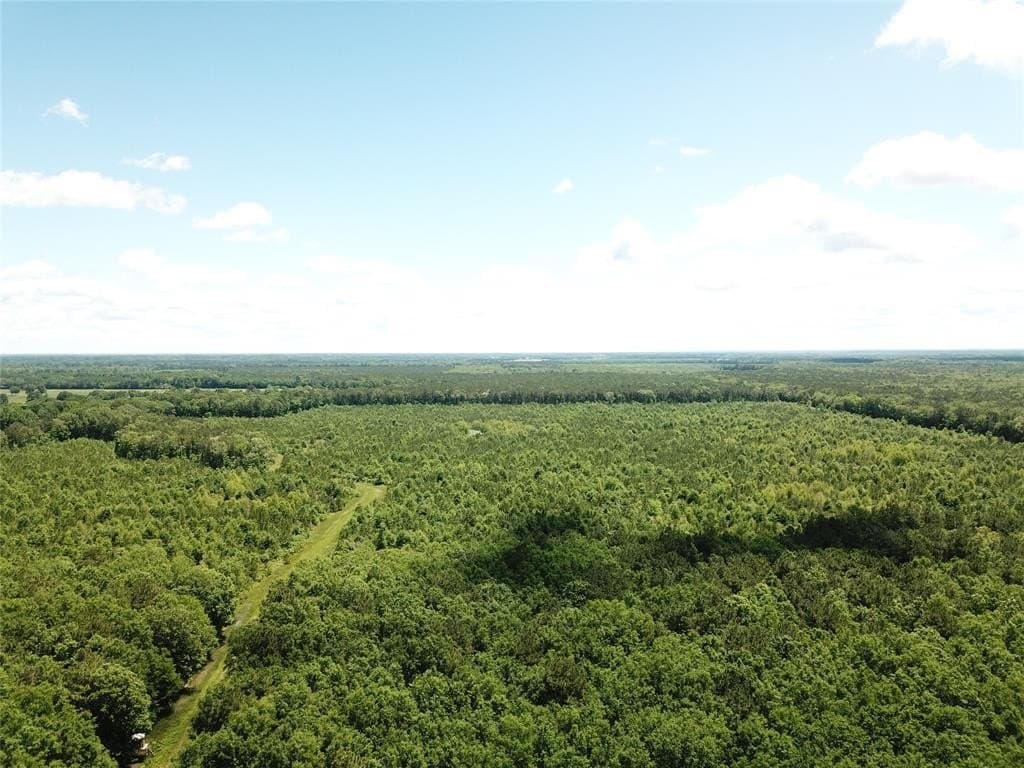 265.96 acres in Bowie County gallery image 4