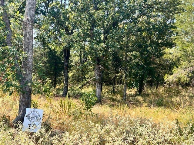 7.3 acres in Freestone County featured view