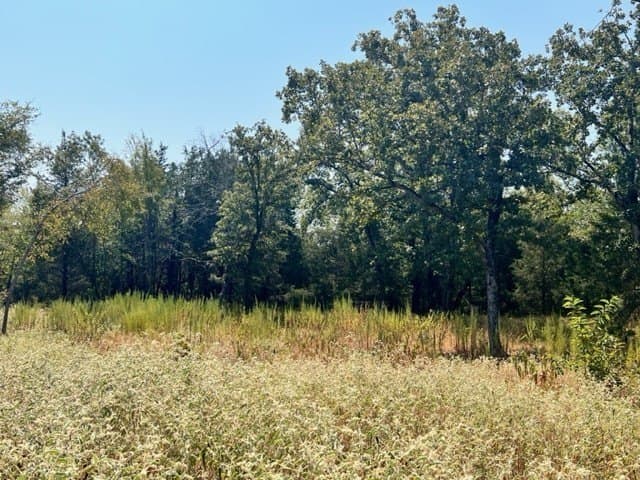 7.3 acres in Freestone County - photo 7