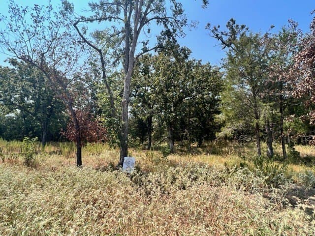 7.3 acres in Freestone County - photo 6