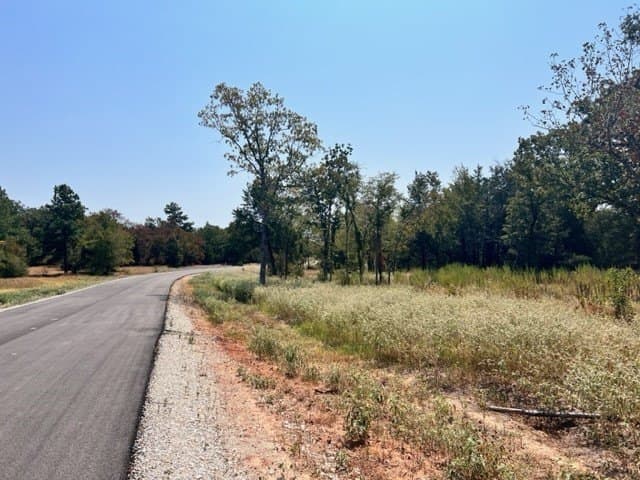 7.3 acres in Freestone County gallery image 4