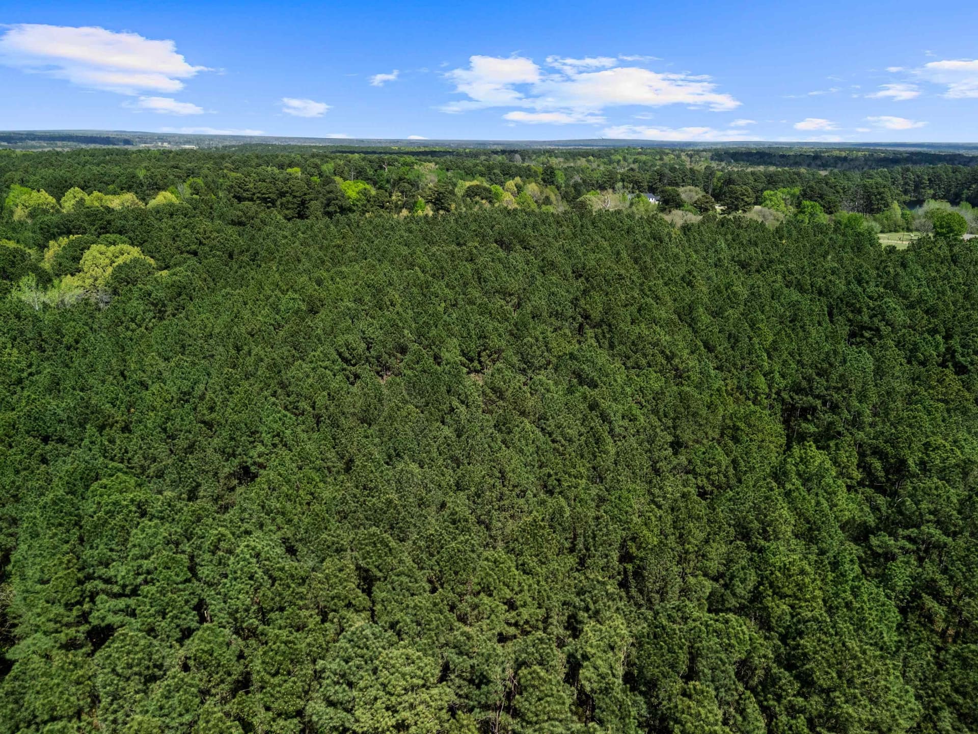 59.75 acres in Gregg County - photo 24