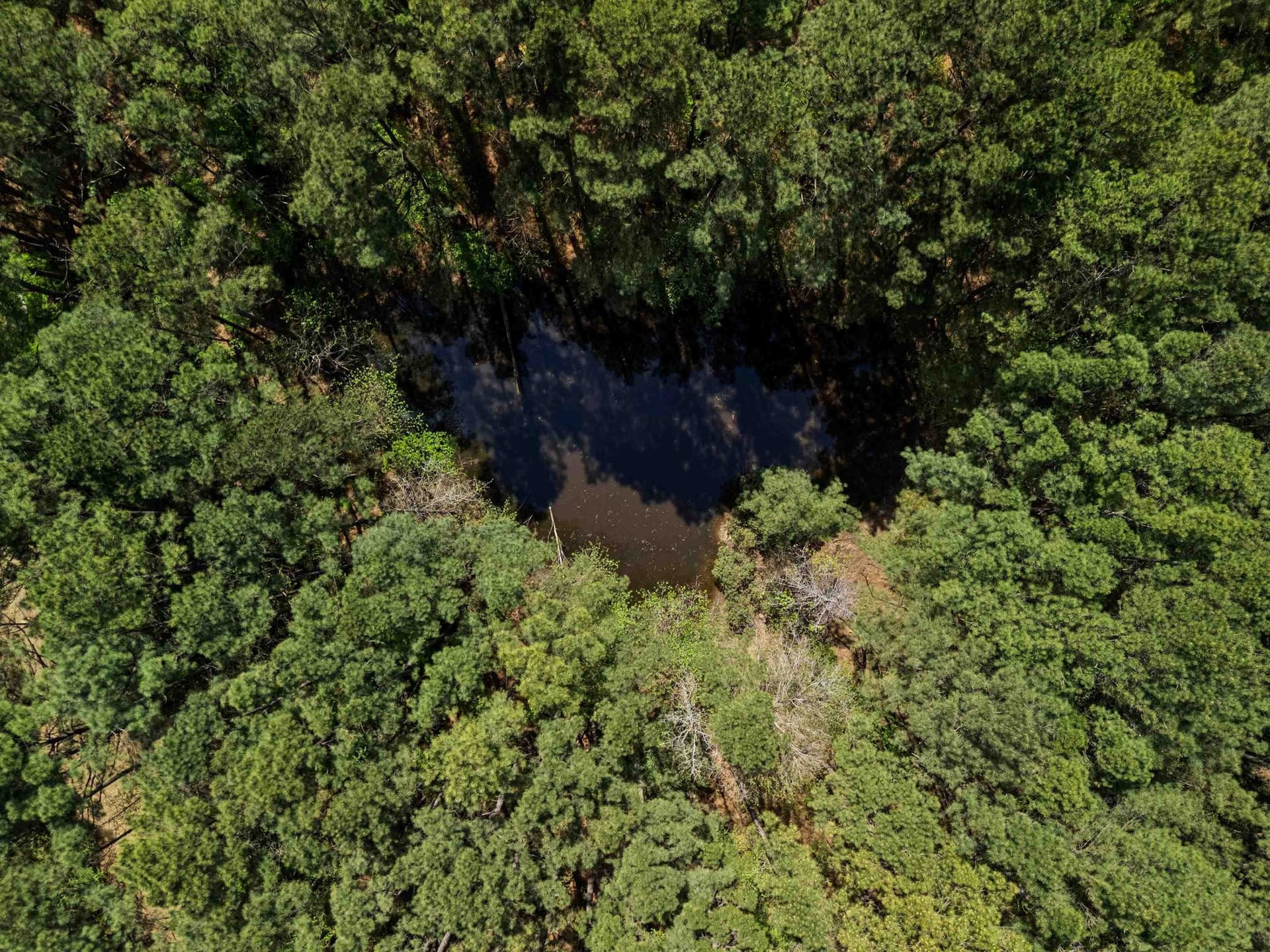 59.75 acres in Gregg County - photo 9