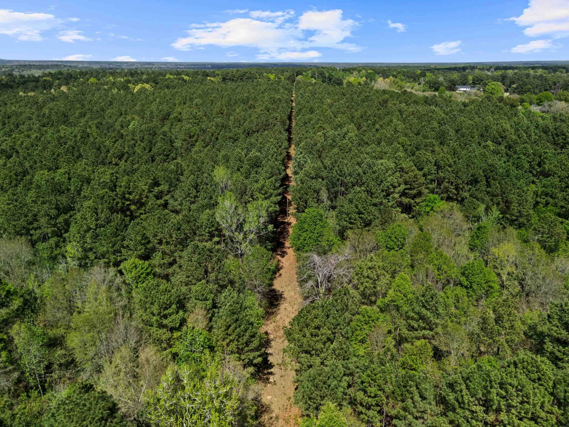 59.75 acres in Gregg County - photo 23
