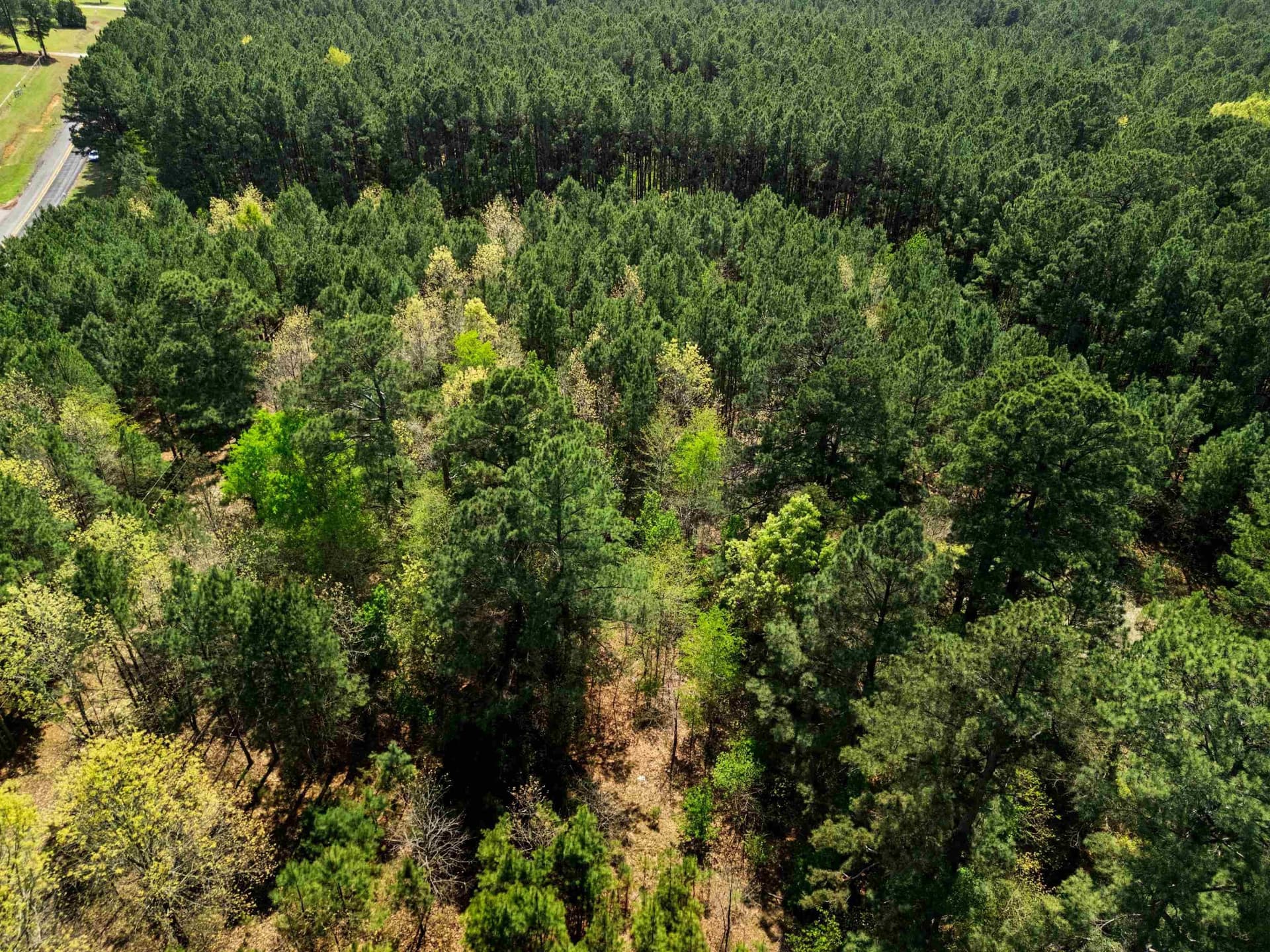 59.75 acres in Gregg County - photo 15