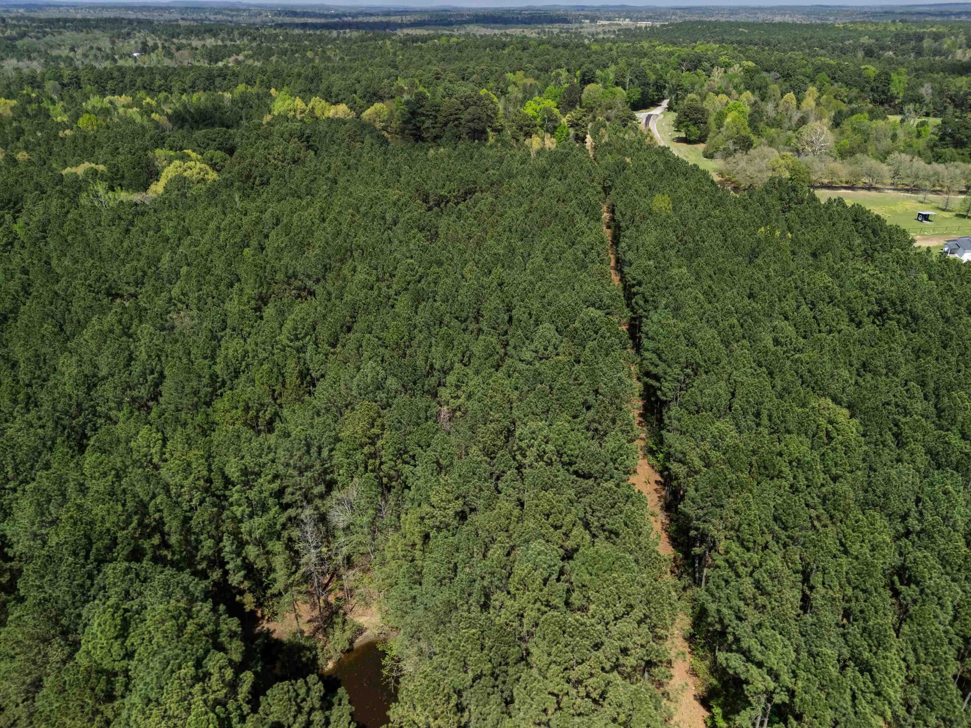 59.75 acres in Gregg County - photo 21