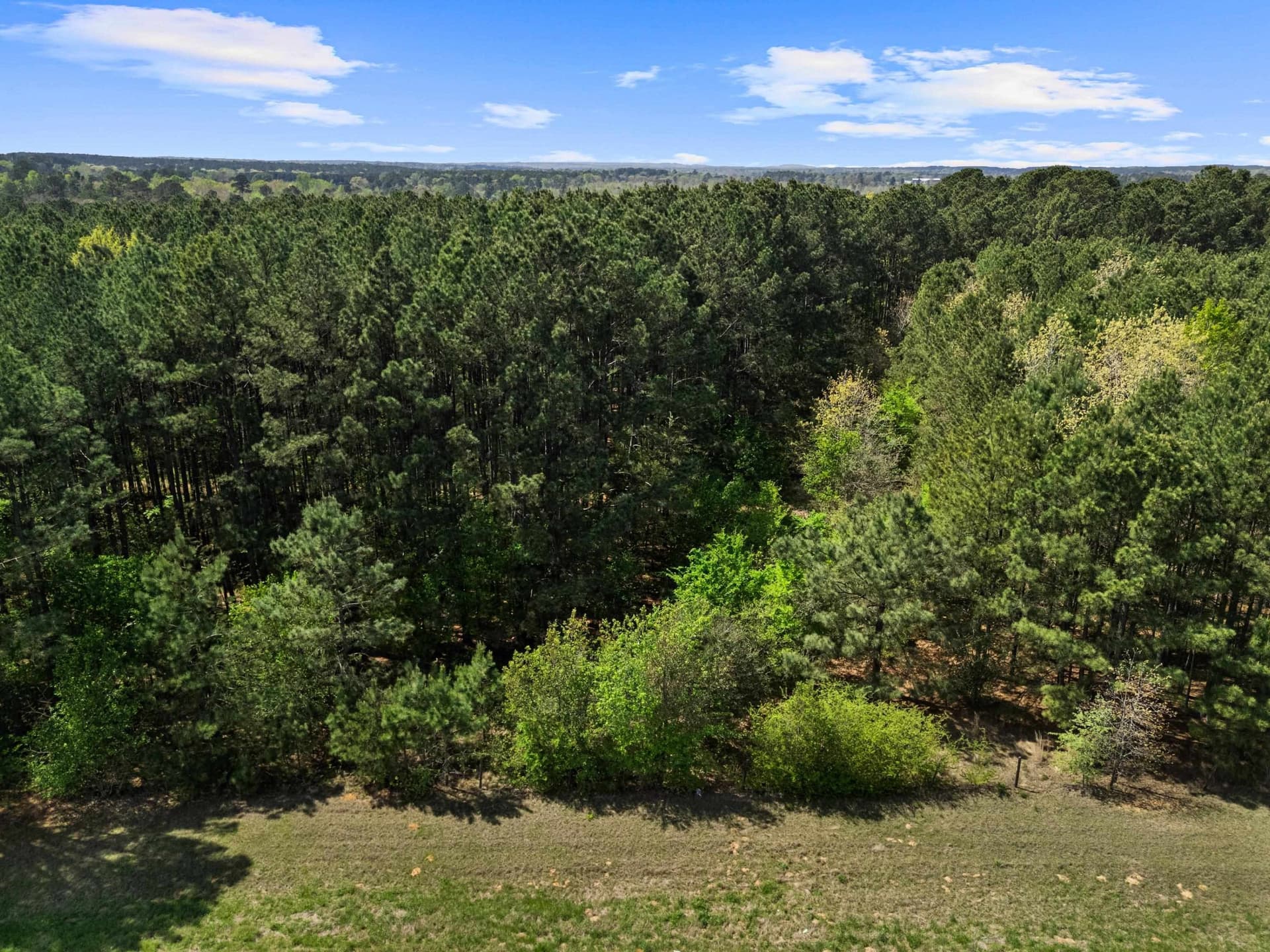 59.75 acres in Gregg County - photo 28