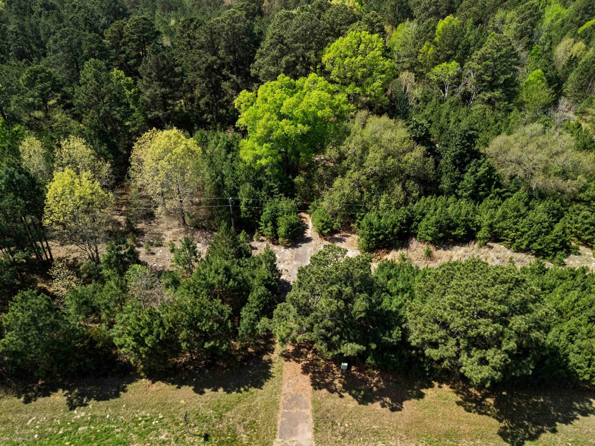 59.75 acres in Gregg County - photo 17