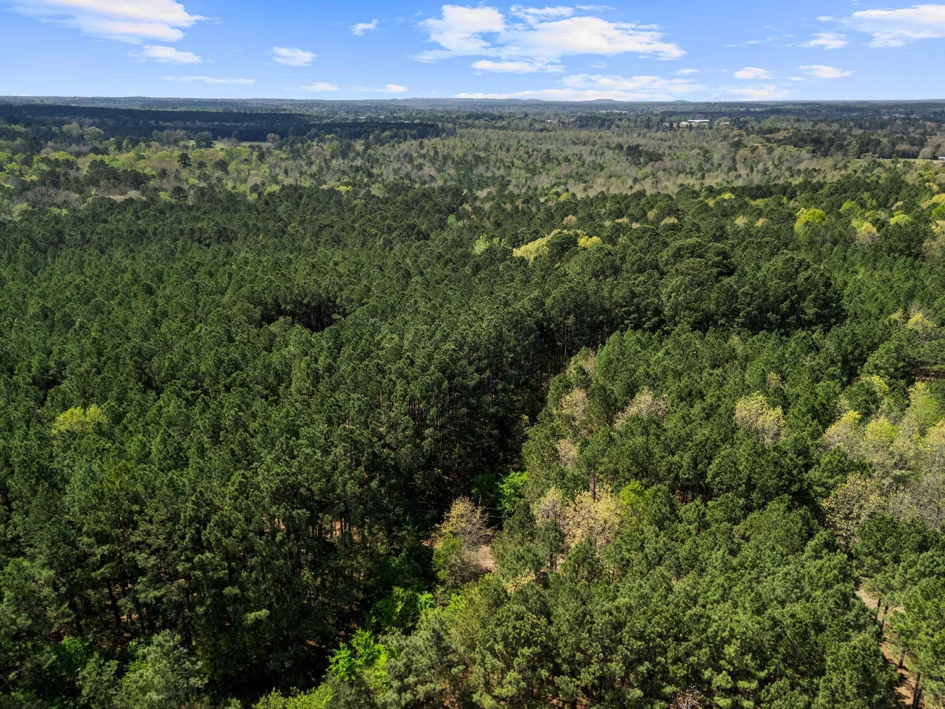 59.75 acres in Gregg County - photo 18