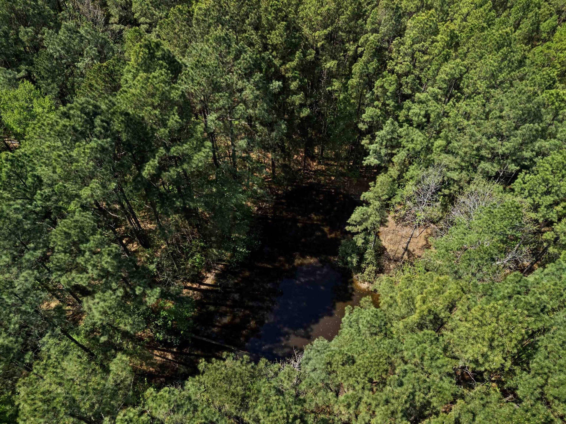 59.75 acres in Gregg County - photo 10