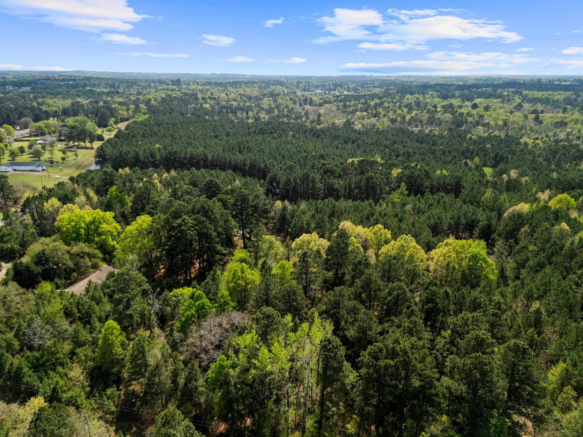 59.75 acres in Gregg County - photo 12