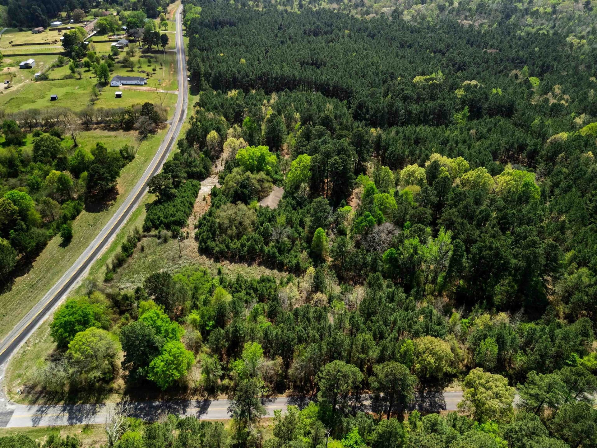 59.75 acres in Gregg County - photo 11