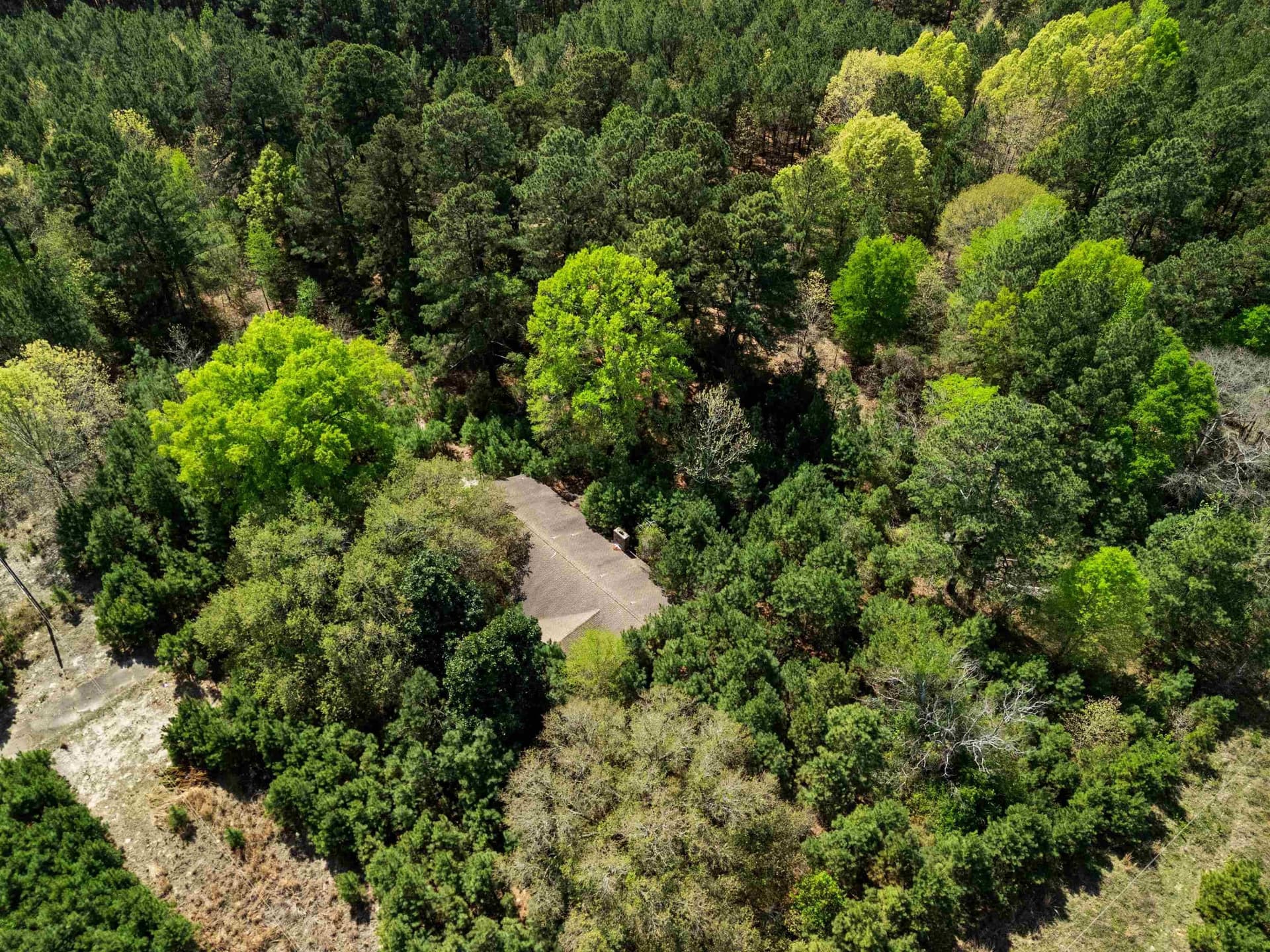 59.75 acres in Gregg County - photo 13