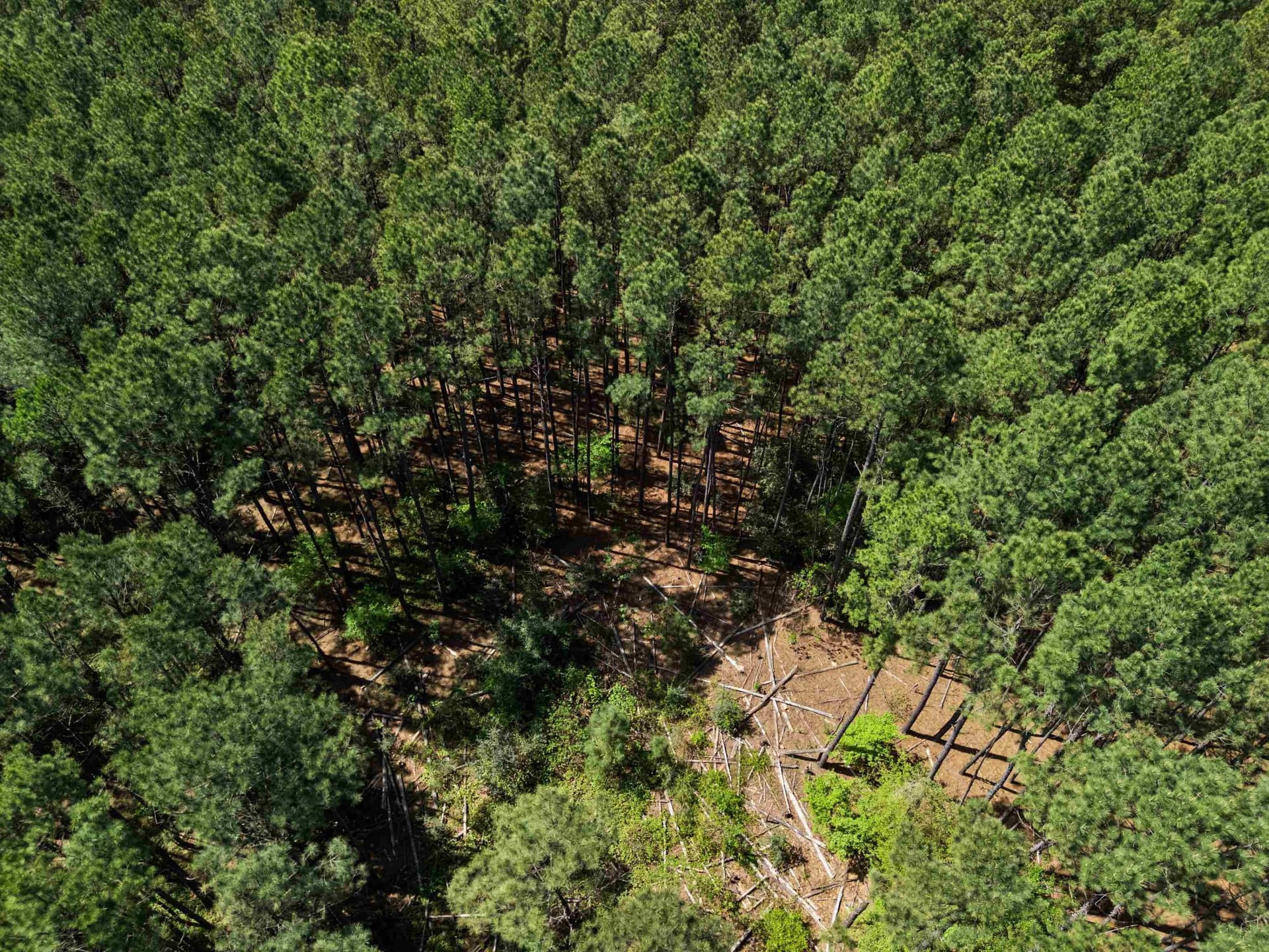 59.75 acres in Gregg County - photo 20