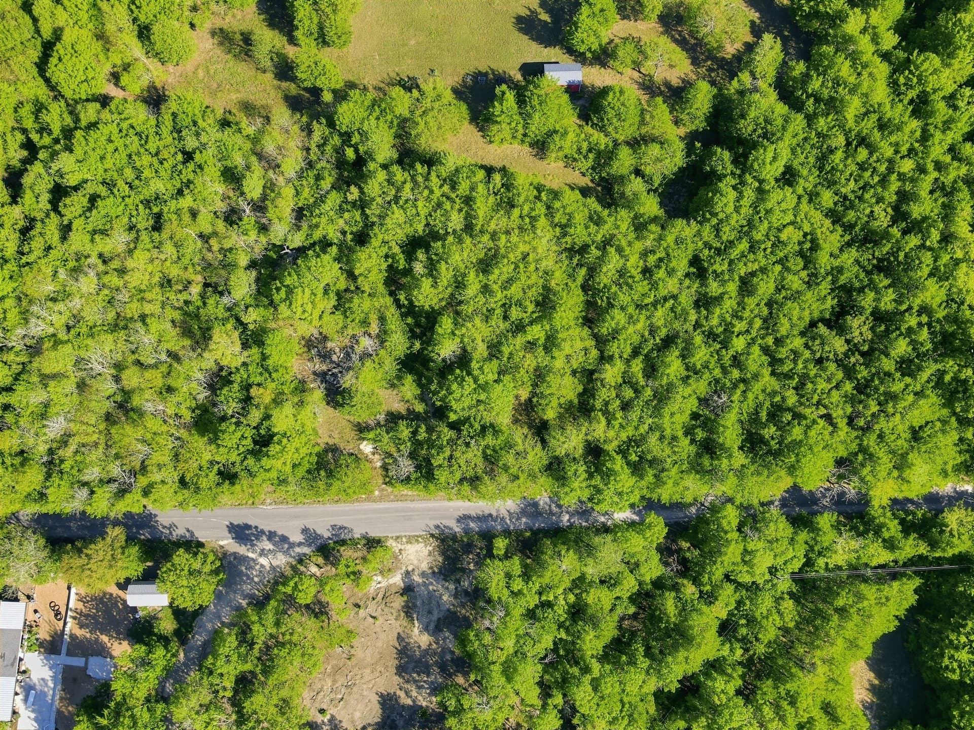 4 acres in Grayson County - photo 4
