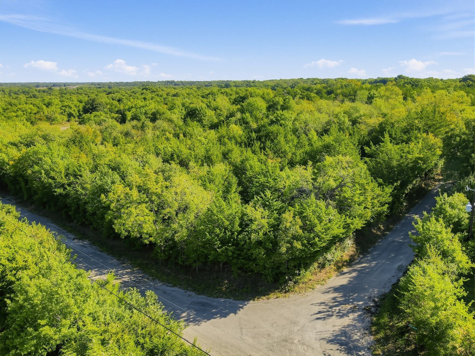 4 acres in Grayson County - photo 11