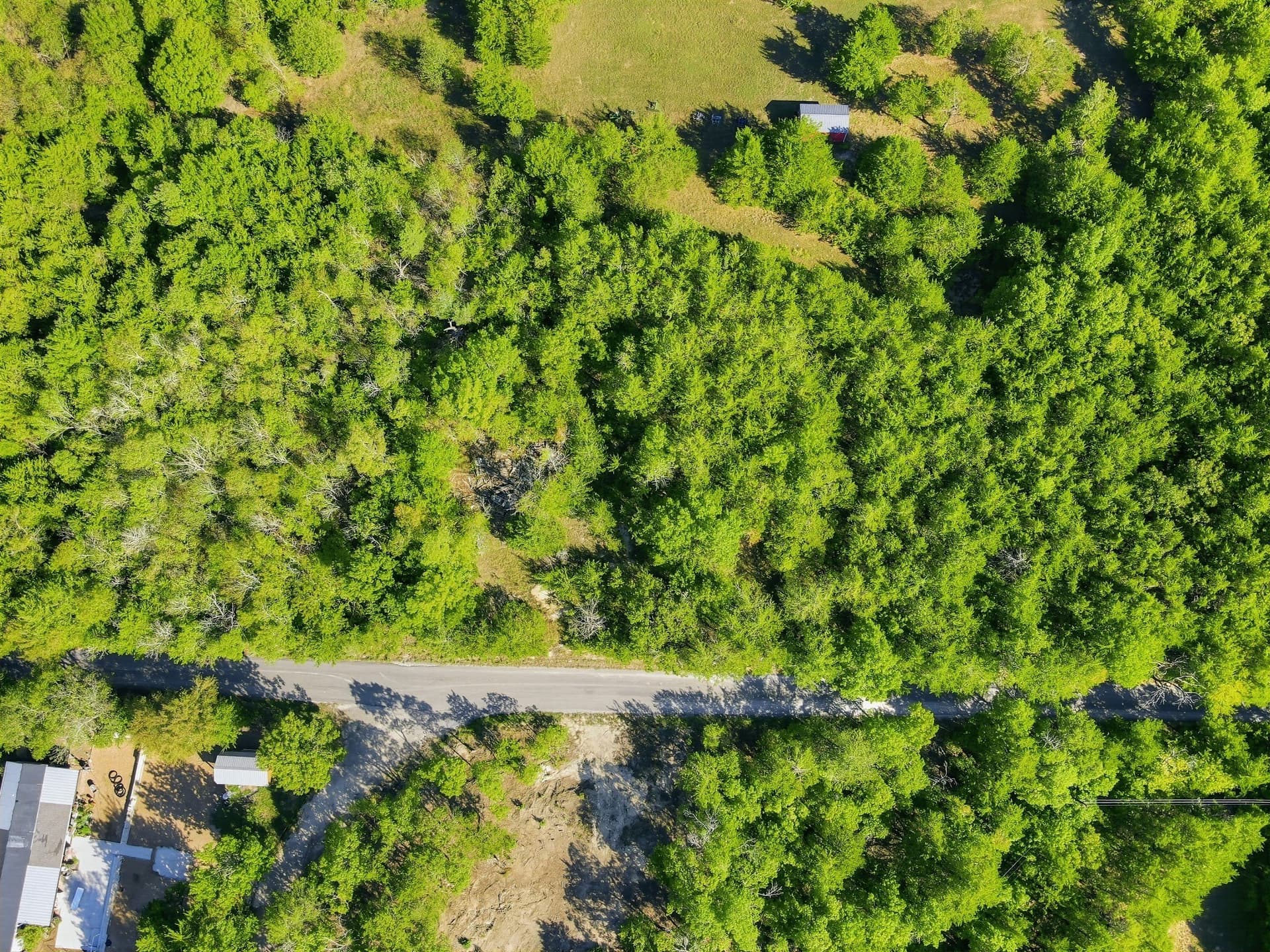 4 acres in Grayson County - photo 3
