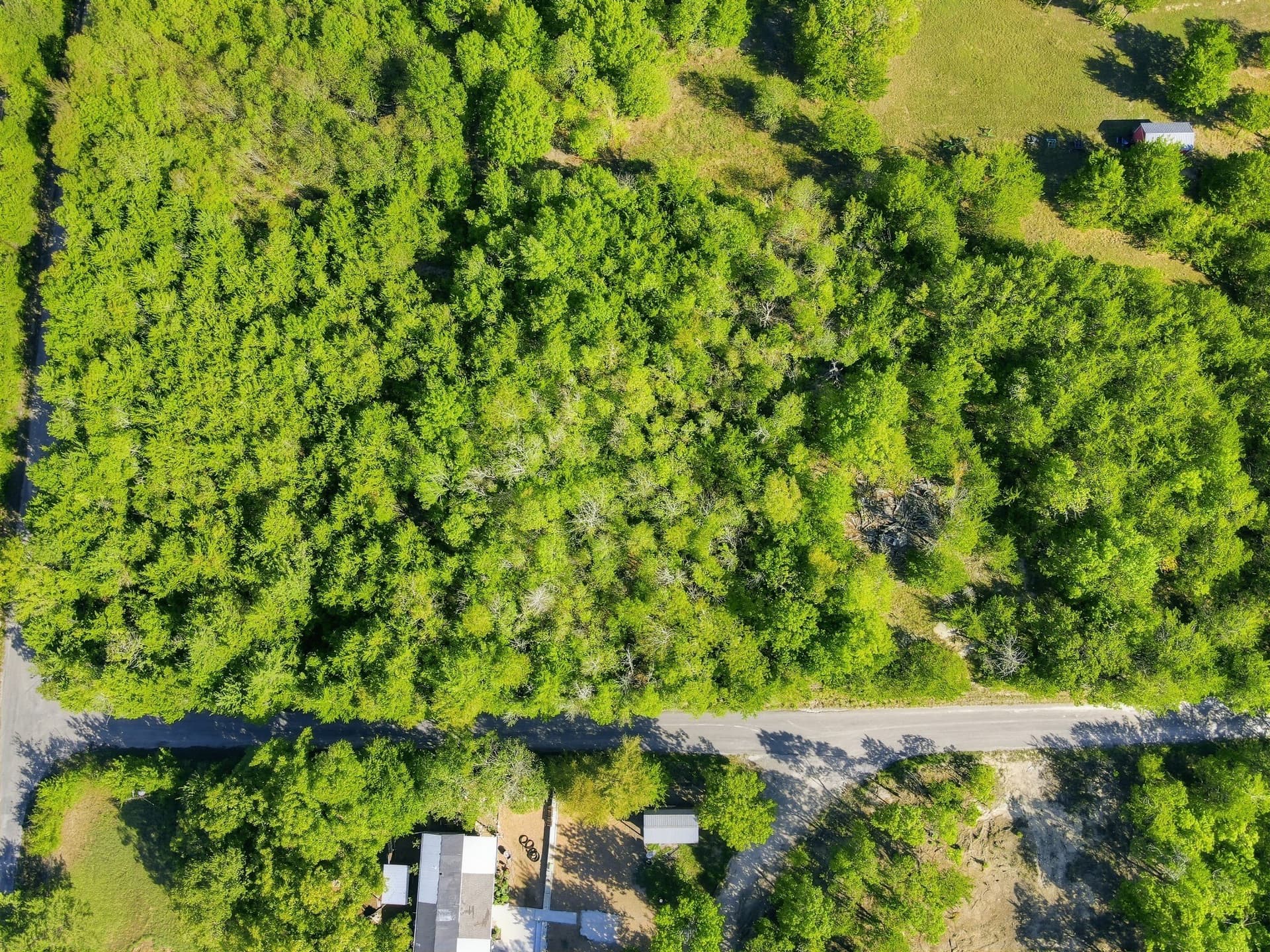 4 acres in Grayson County - photo 5