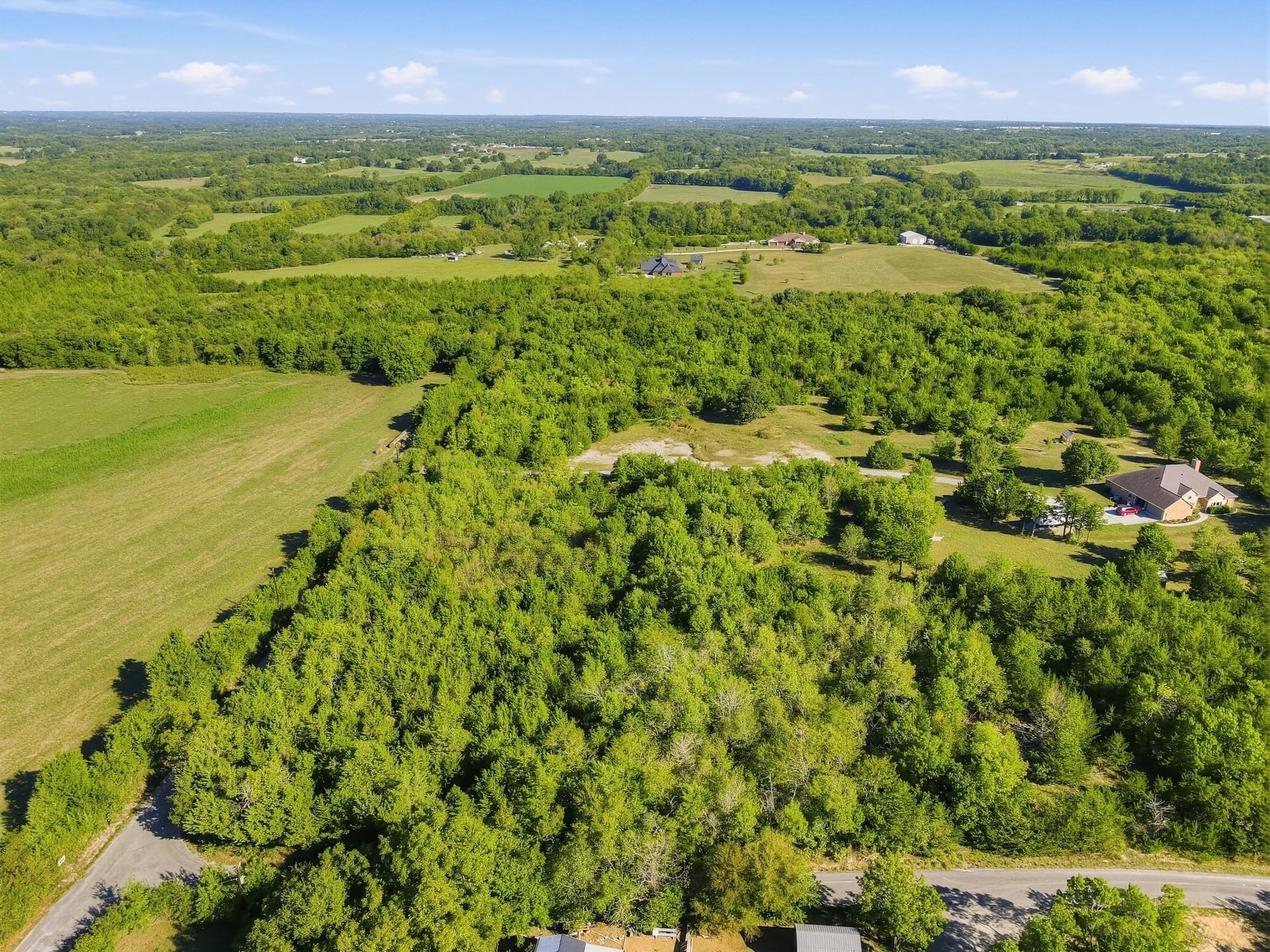 4 acres in Grayson County - photo 8