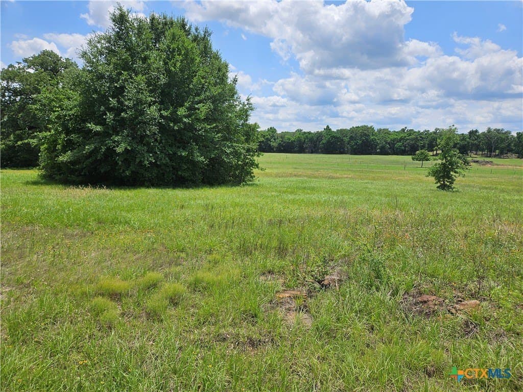 6 acres in Milam County gallery image 3