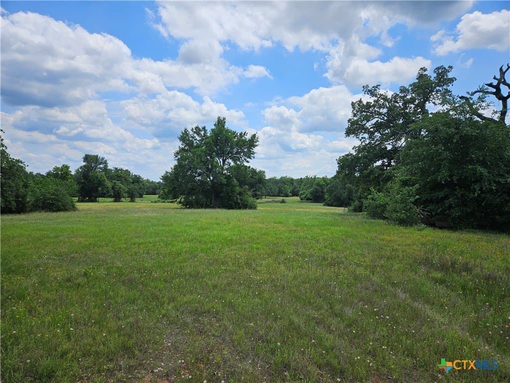 6 acres in Milam County gallery image 2