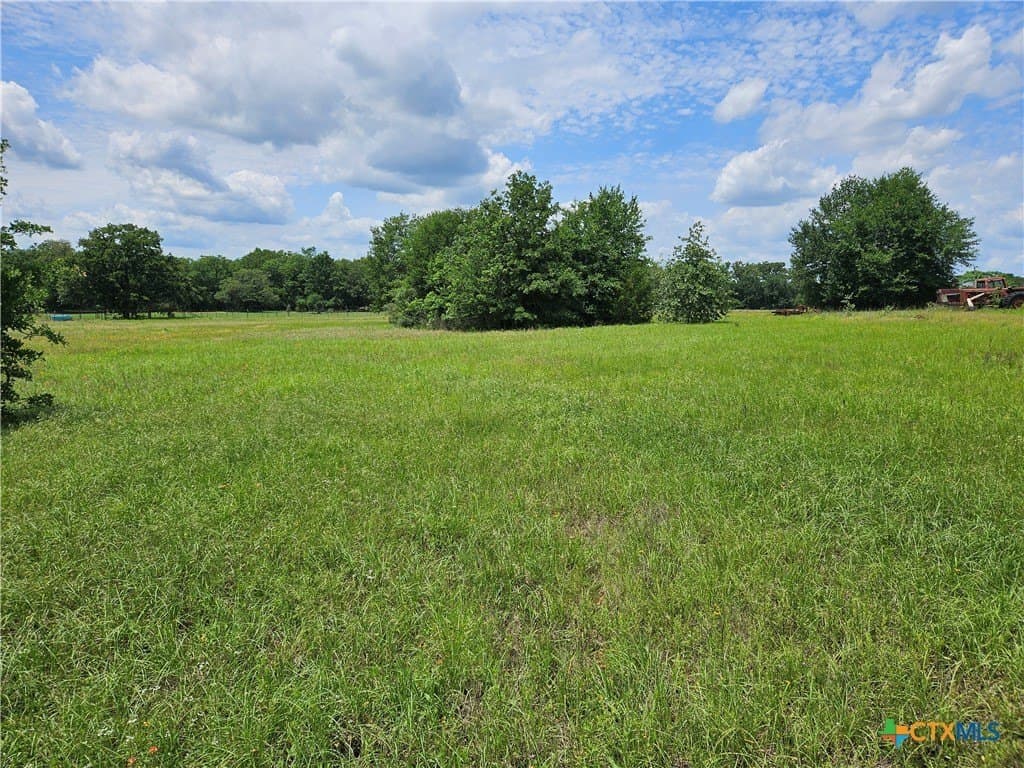 6 acres in Milam County gallery image 4