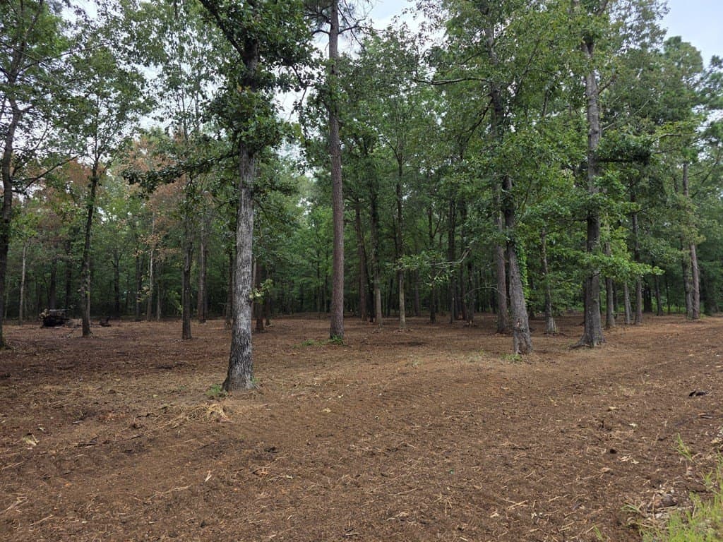 5 acres in Texas County gallery image 4