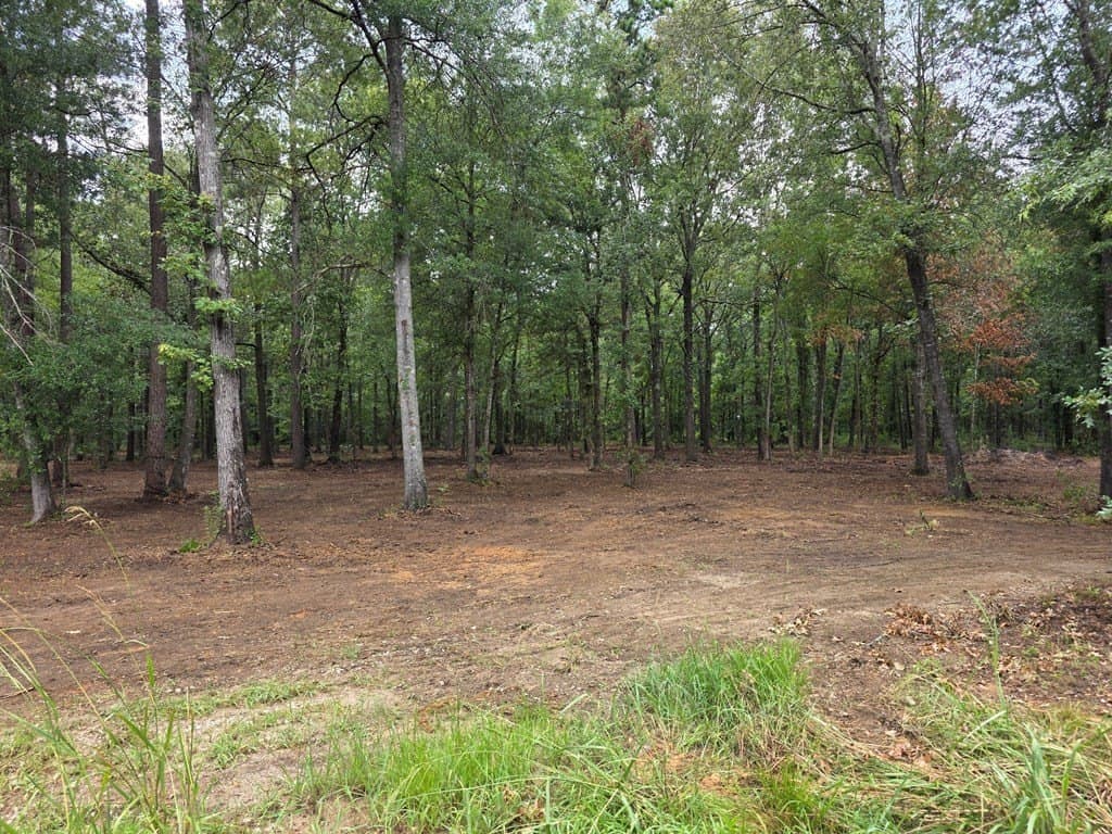 5 acres in Texas County - photo 9