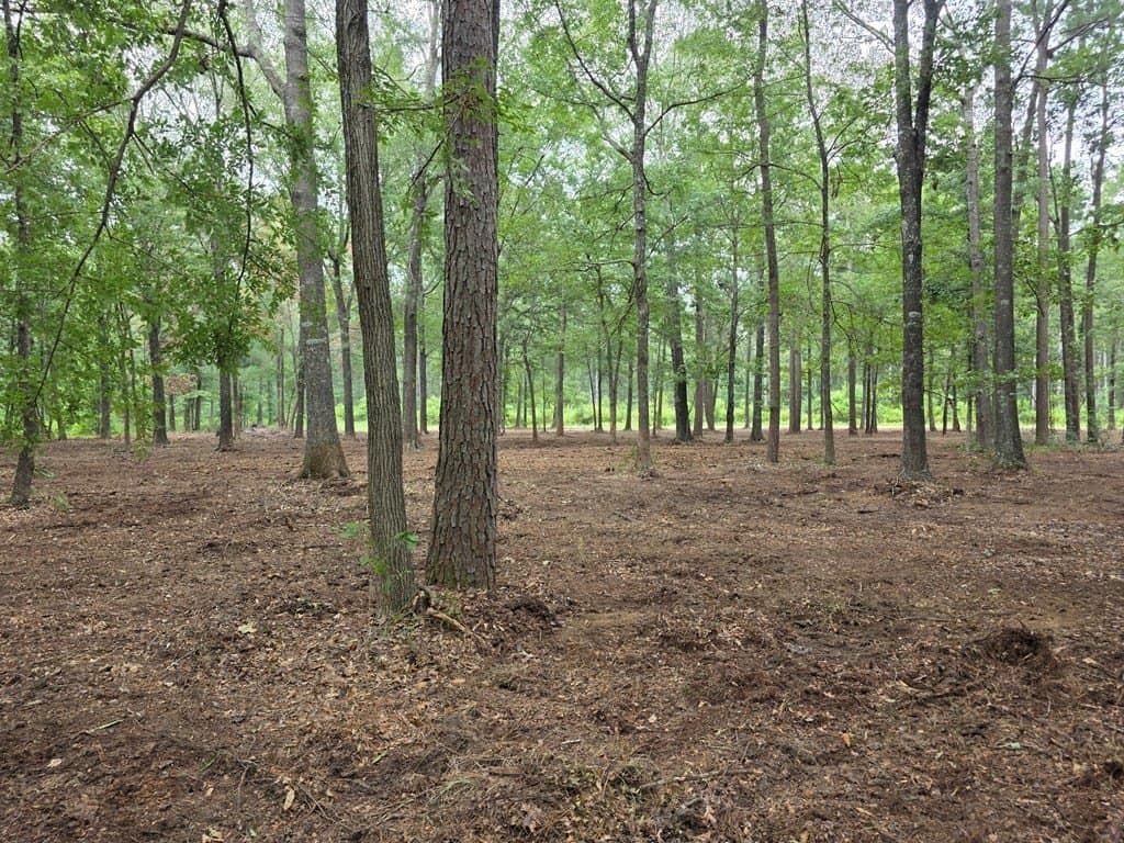 5 acres in Texas County featured view