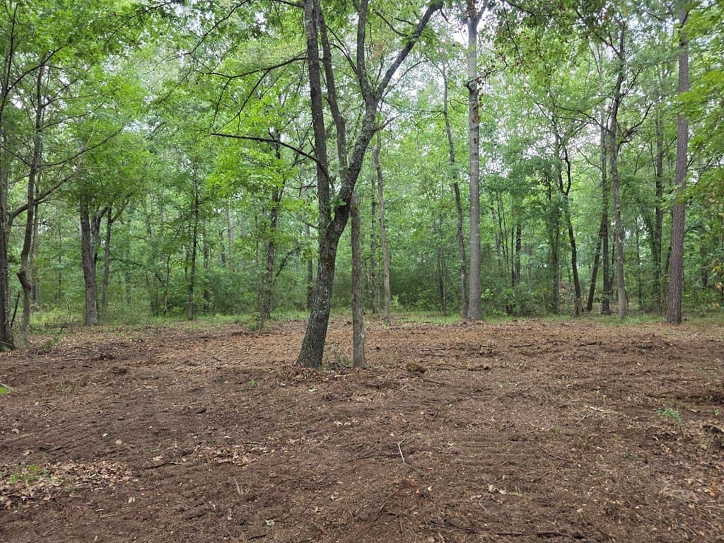 5 acres in Texas County gallery image 3