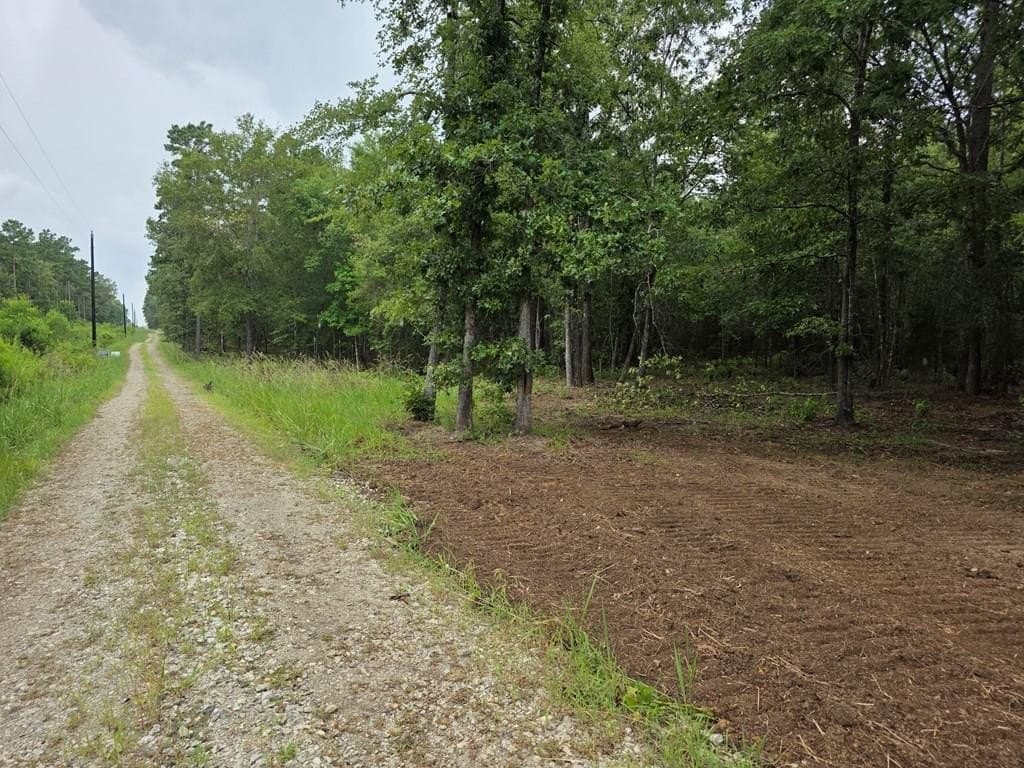 5 acres in Texas County gallery image 2