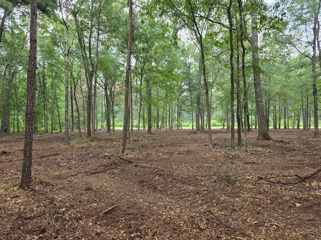 5 acres in Texas County - photo 8