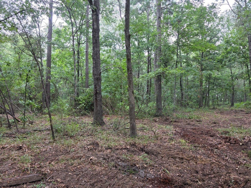 5 acres in Texas County - photo 7