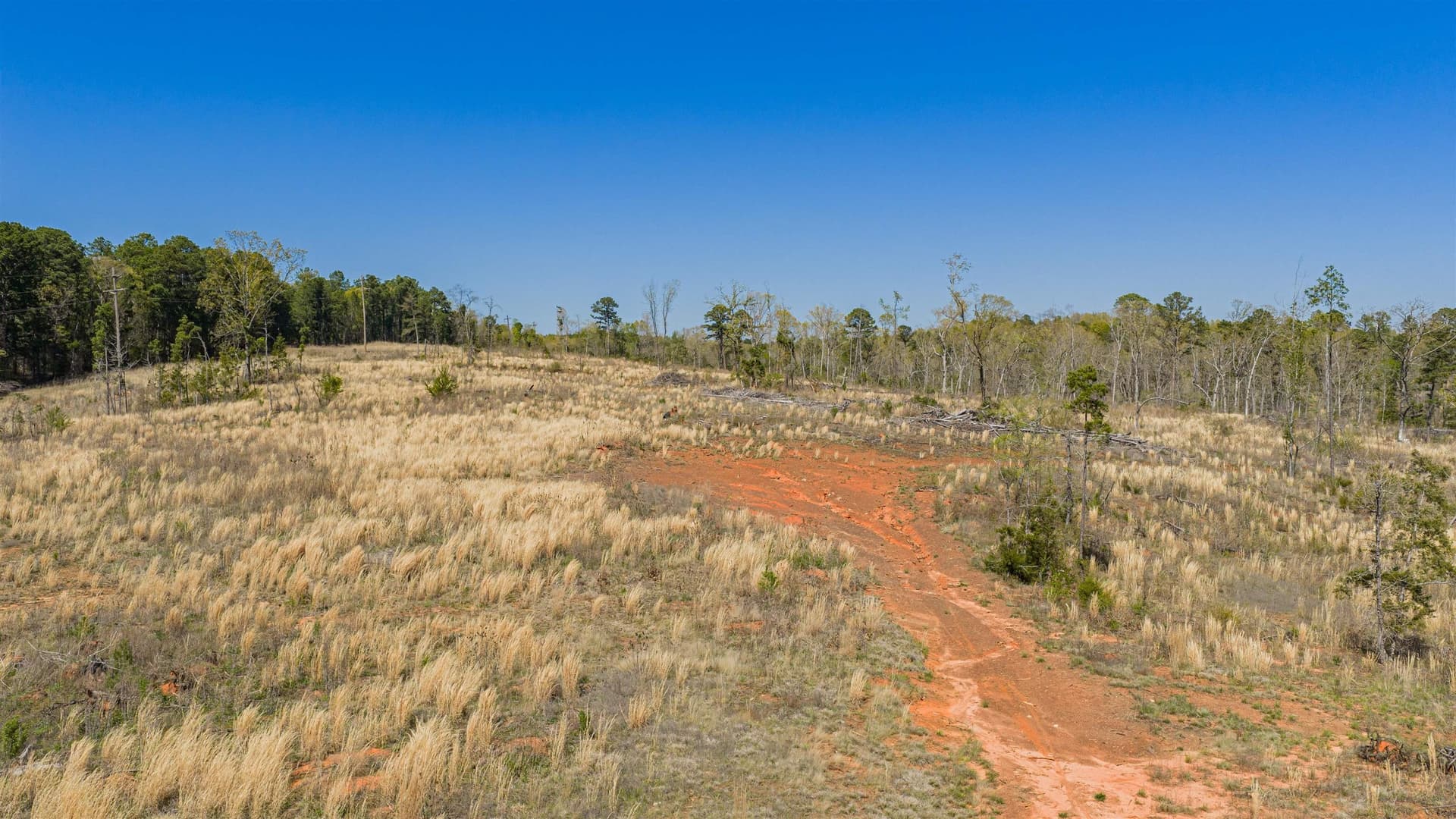 42.69 acres in Texas County - photo 6