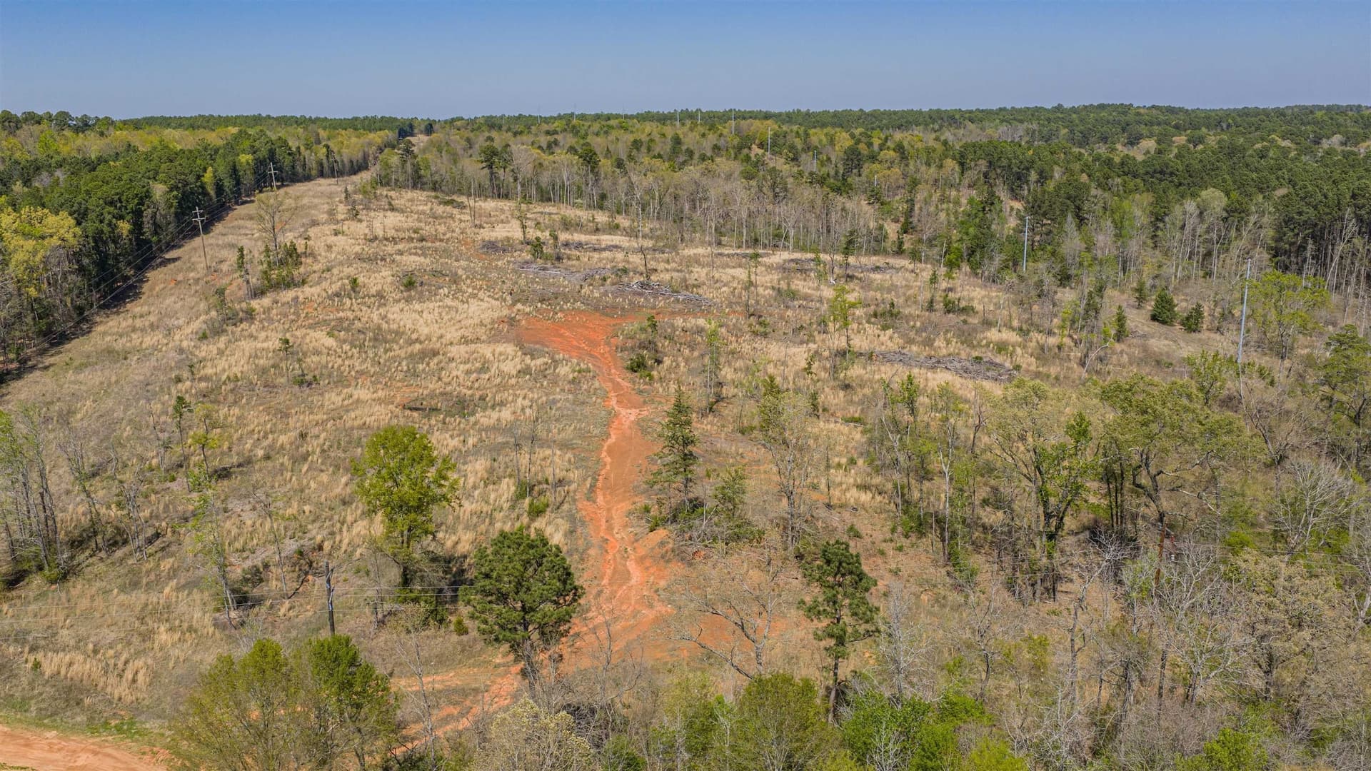 42.69 acres in Texas County - photo 8