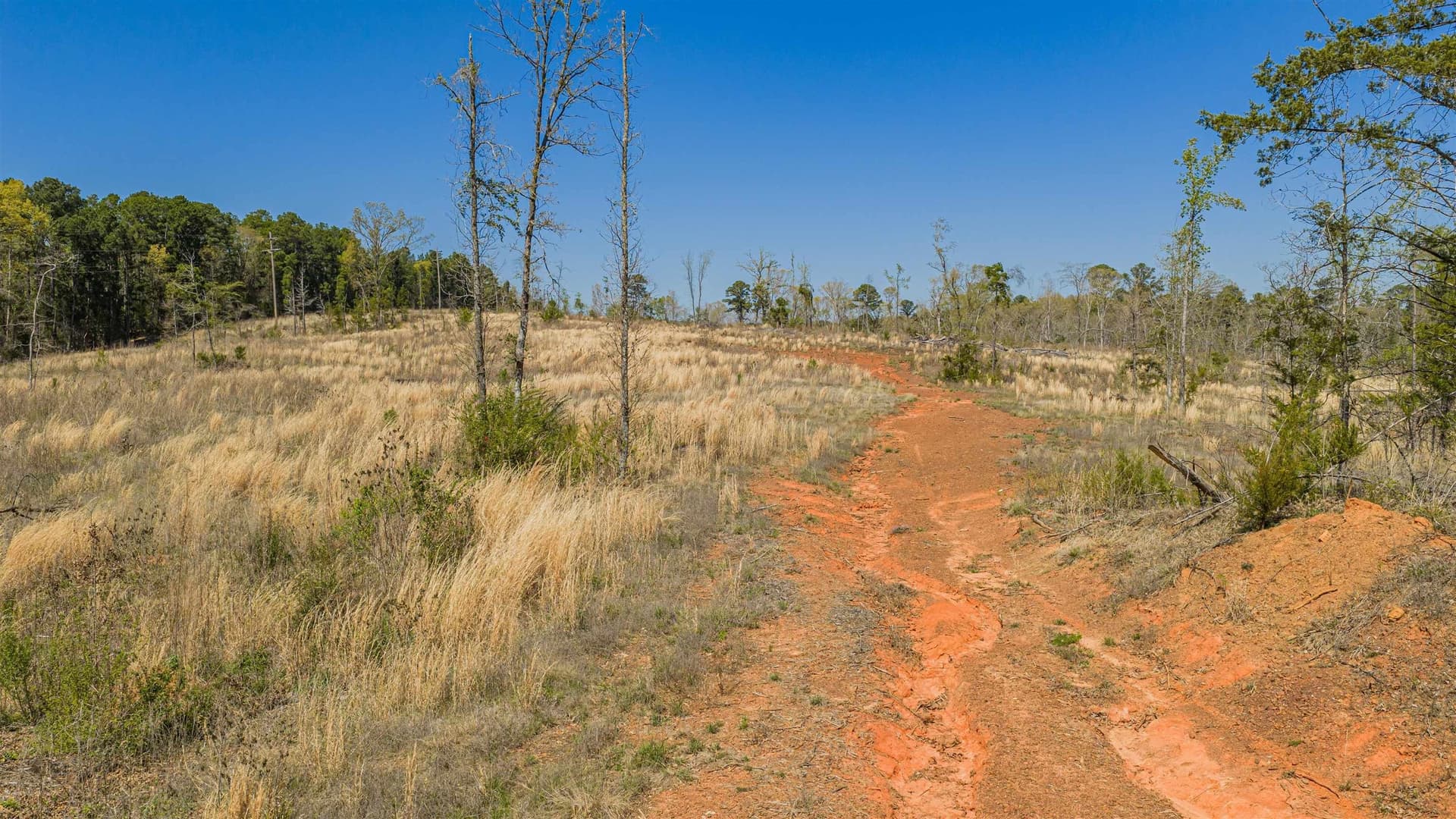 42.69 acres in Texas County - photo 7