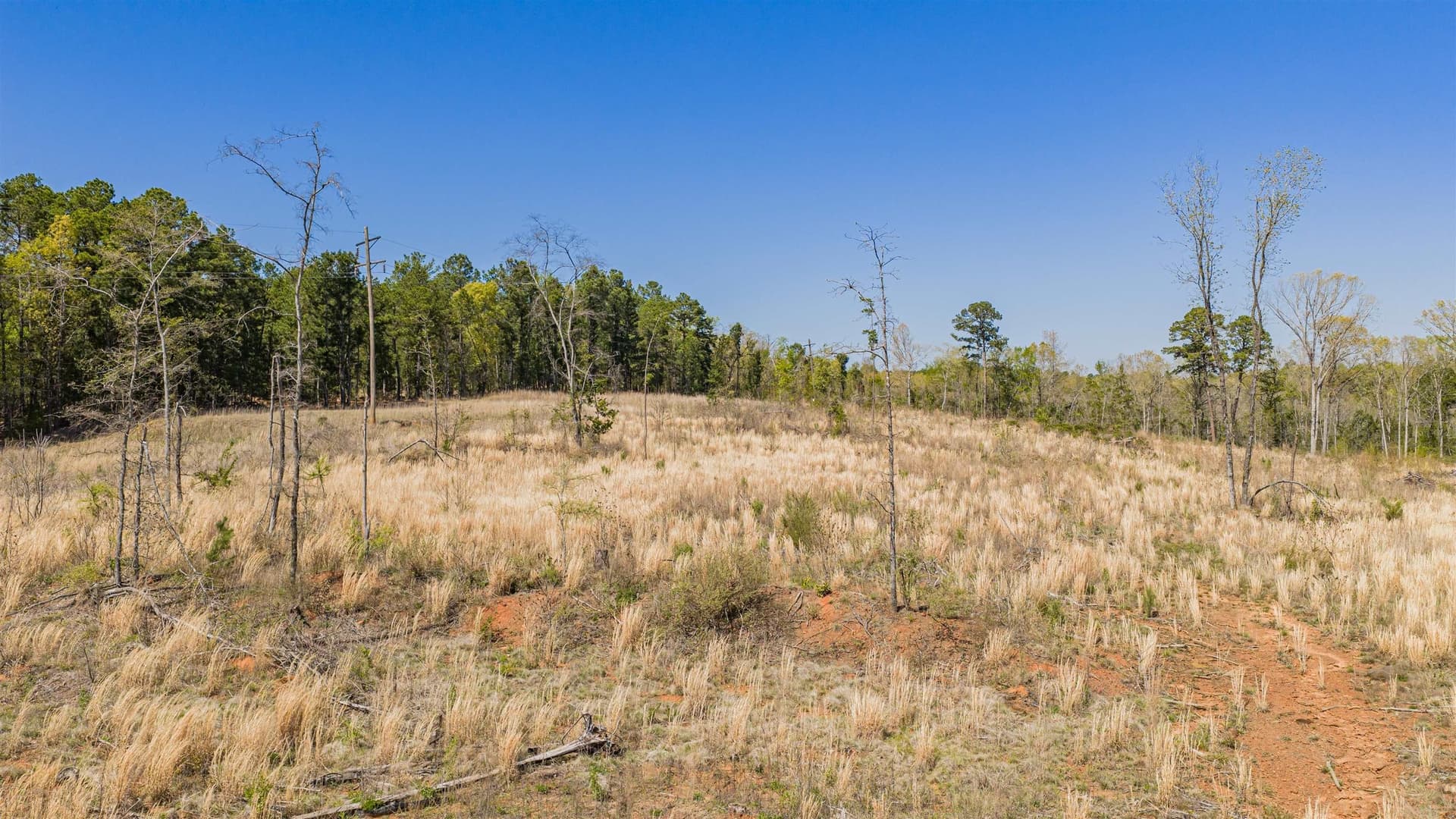 42.69 acres in Texas County - photo 5