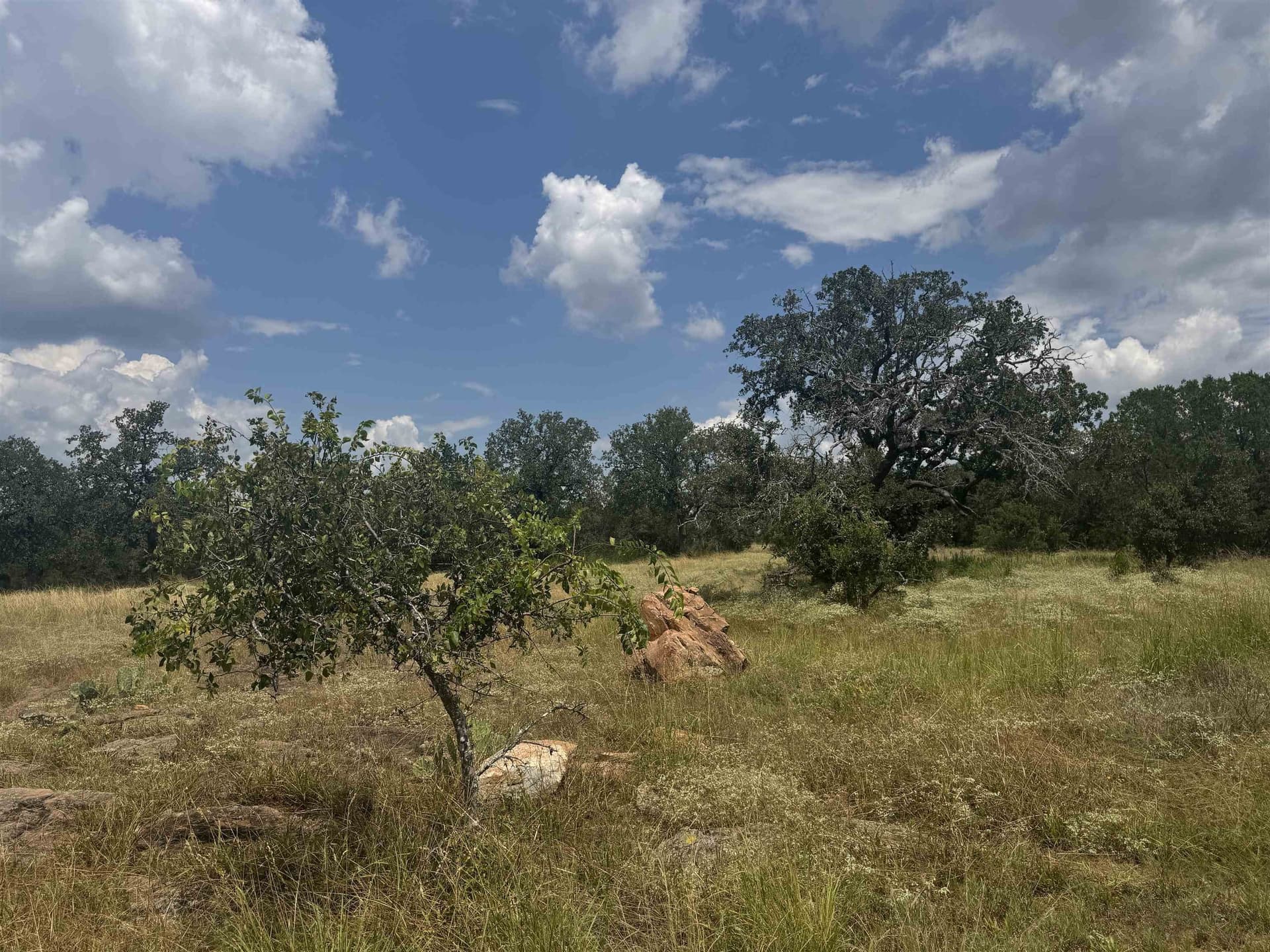 10.45 acres in Burnet County gallery image 3