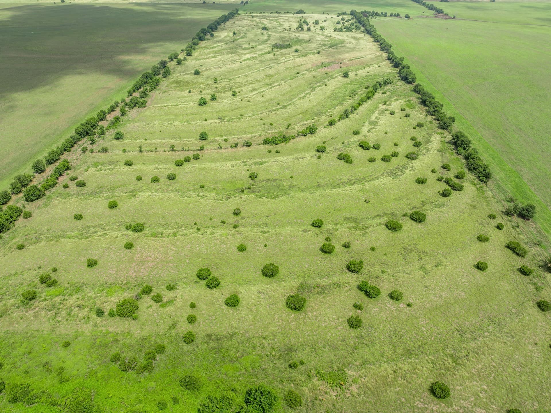 100 acres in Coryell County - photo 36