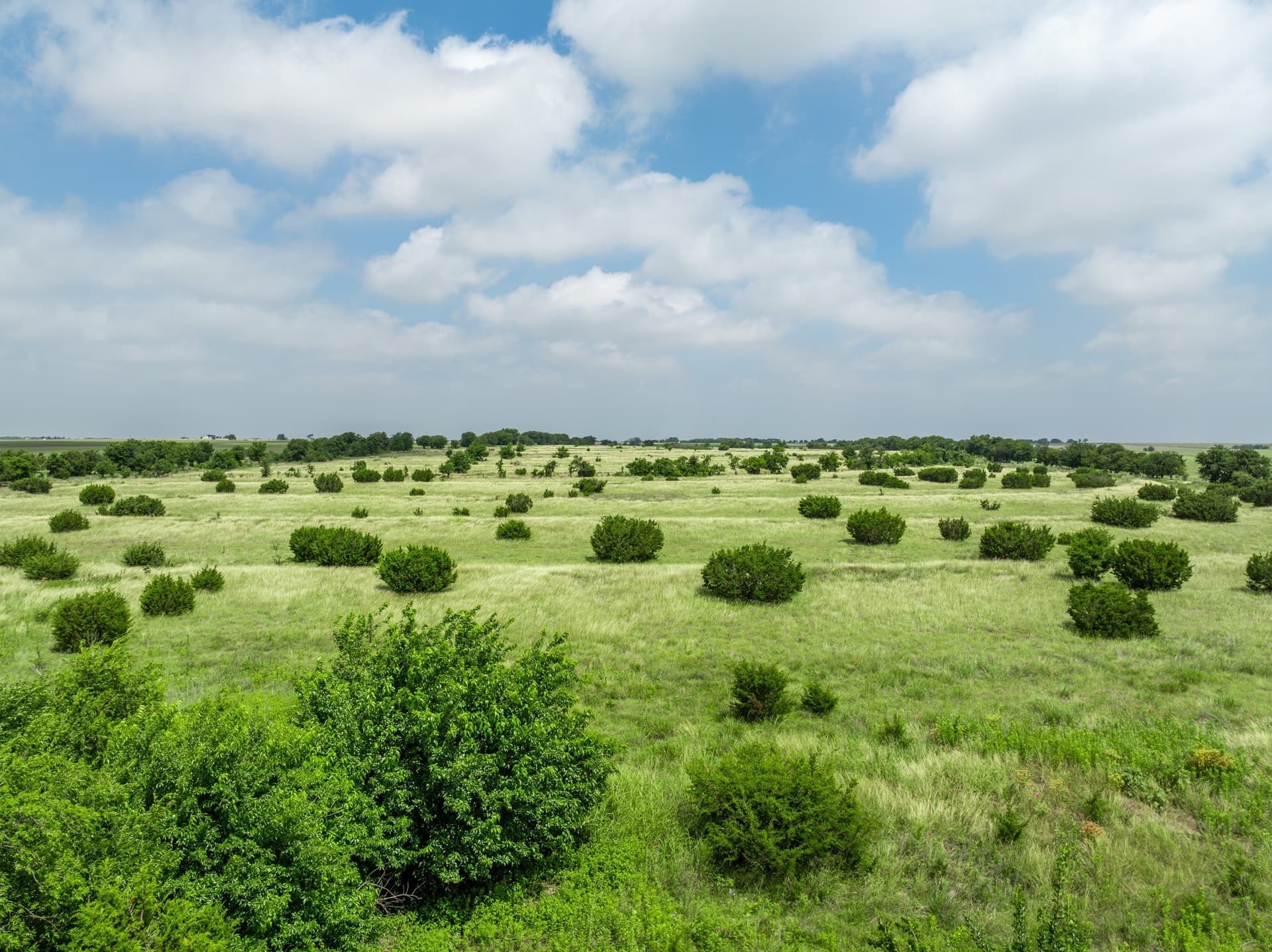 100 acres in Coryell County - photo 12